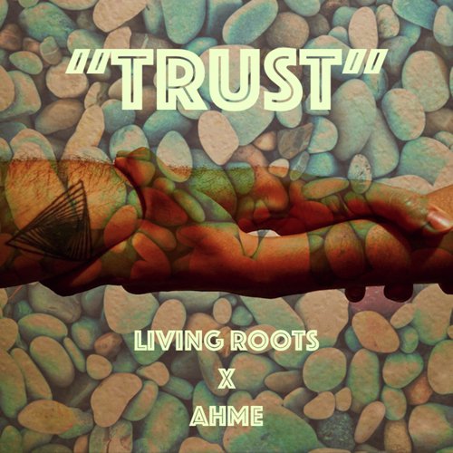 Trust (feat. AHME)