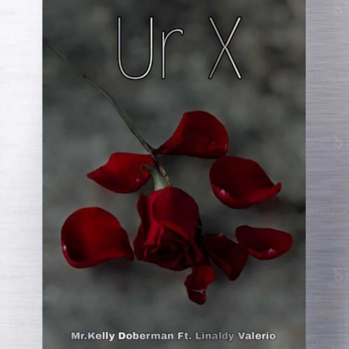 Ur X  (feat. Linaldy Valerio)