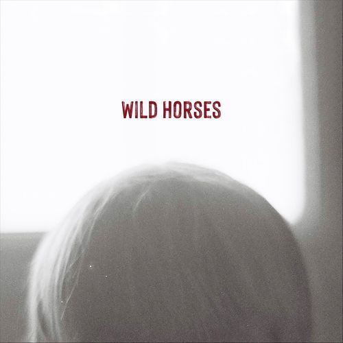 Wild Horses cover art
