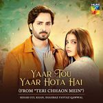 Yaar Tou Yaar Hota Hai (From &quot;Teri Chhaon Mein&quot;)