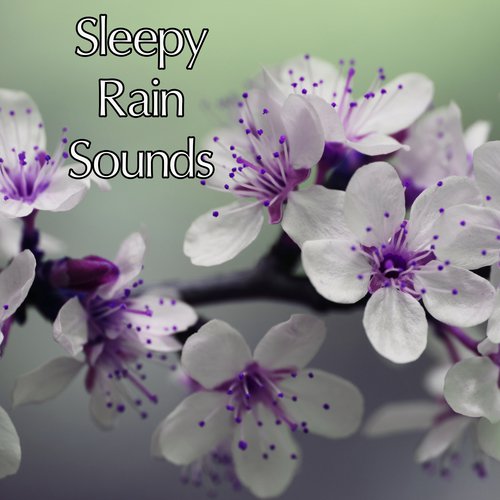 Rain Sound: Easy Sleeping
