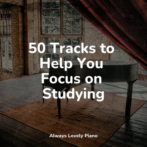 50 Peaceful Tracks from a Chill Piano_poster_image