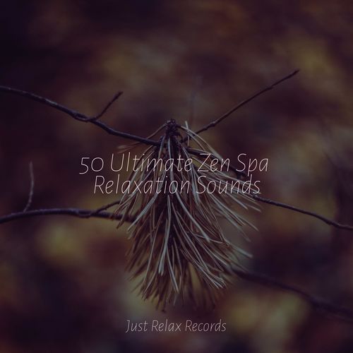 50 Ultimate Zen Spa Relaxation Sounds