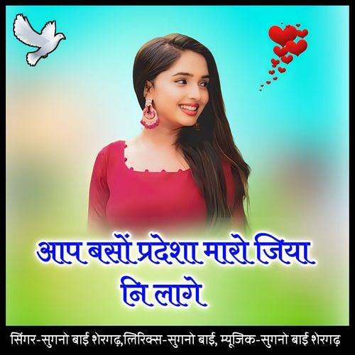 Aap baso pradesha maro jiya ni laage cover art