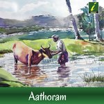 Aadai Katti
