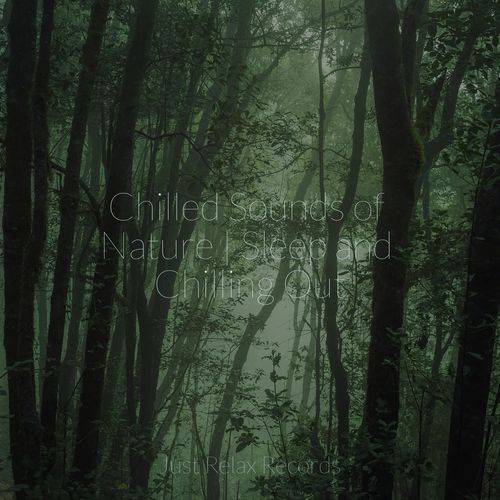 Chilled Sounds of Nature | Sleep and Chilling Out_poster_image