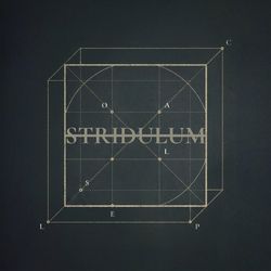 Collapse by Stridulum