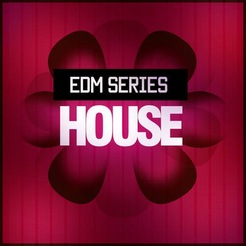 EDM House (DJ Mix 1)