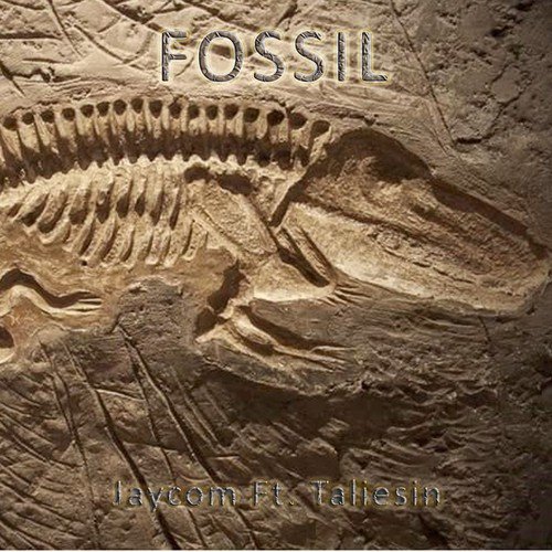 Fossil Songs Download - Free Online Songs @ JioSaavn