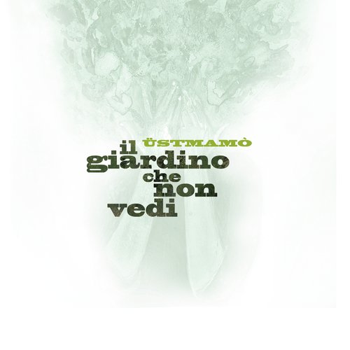 Il giardino che non vedi_poster_image