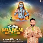 Katha Baba Balak Nath Ji Di