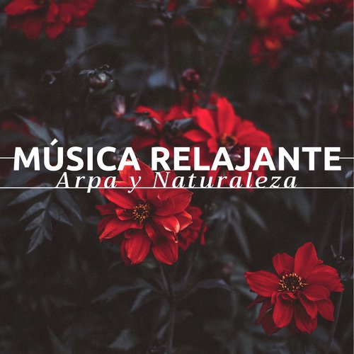 Música de Masaje cover art
