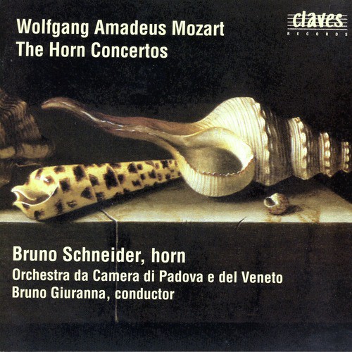 Concerto for Horn & Orchestra in E-Flat Major, K.417: II. Andante