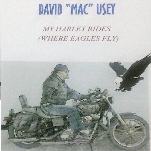 My Harley Rides Where Eagles Fly