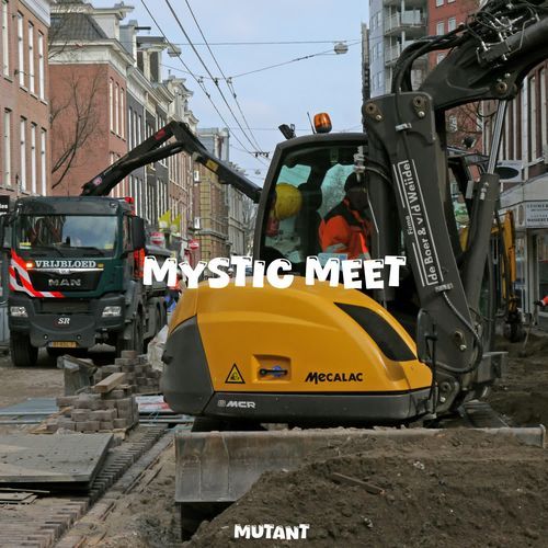 Mystic Meet