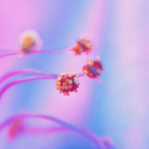 Minimalismus, Pt. 6 cover art