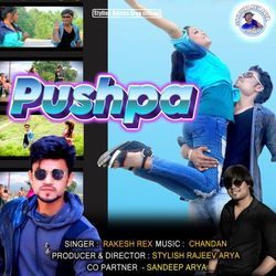 Pushpa-NEVYRQNnf0I