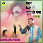 Pyaar Dil Se Juda Hogaya