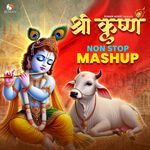 Shri Krishna Non Stop Mashup