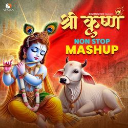 Shri Krishna Non Stop Mashup