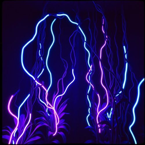 Circuit Lullaby cover art