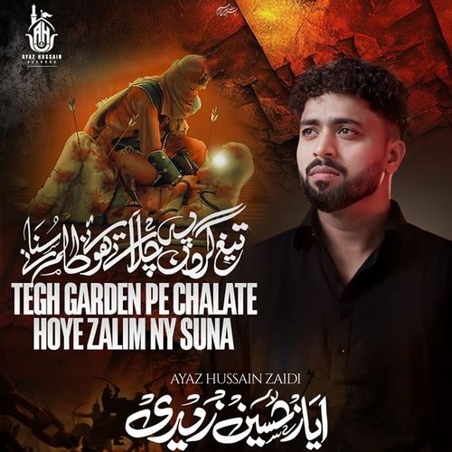 Tegh Garden Pe Chalate Hoye Zalim Ney Suna