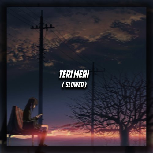 Teri Meri (Slowed)
