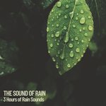 3 Hours of Rain Sounds