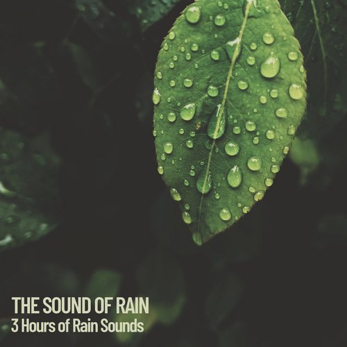 The Sound of Rain: 3 Hours of Rain, the soothing  Sounds of rain_poster_image