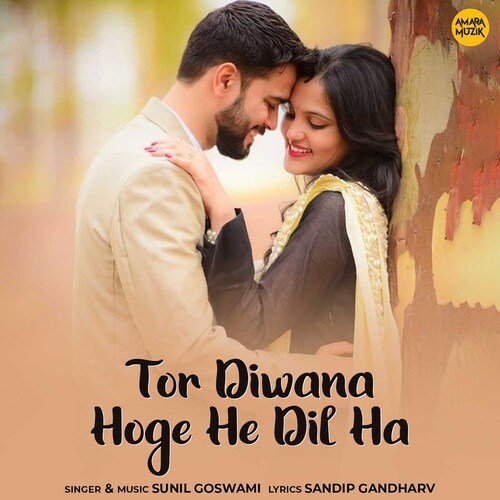 Tor Diwana Hoge He Dil Ha