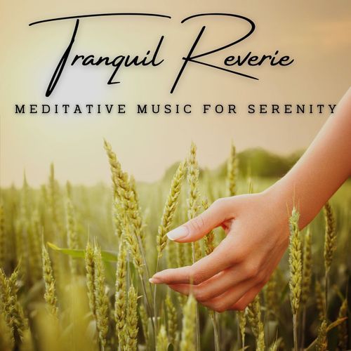 Tranquil Reverie: Meditative Music for Serenity_poster_image