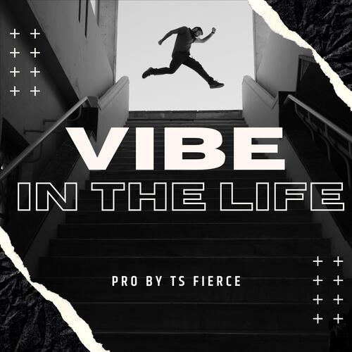 VIBE IN THE LIFE_poster_image