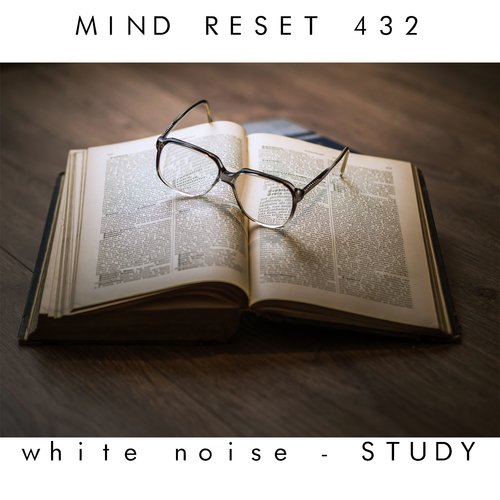 White Noise - Study_poster_image