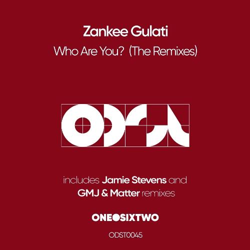 Who Are You (The Remixes)