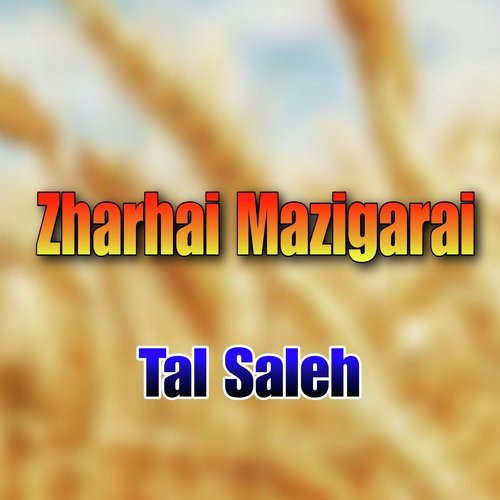 Zharhai Mazigarai