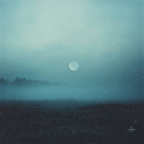 mesmerized cover art