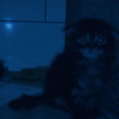 parallel grief