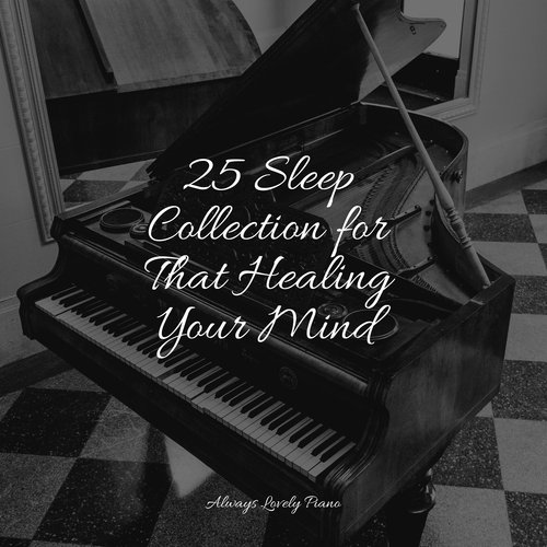 25 Sleep Collection for That Healing Your Mind_poster_image