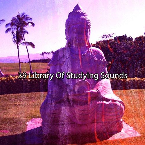 39 Library Of Studying Sounds