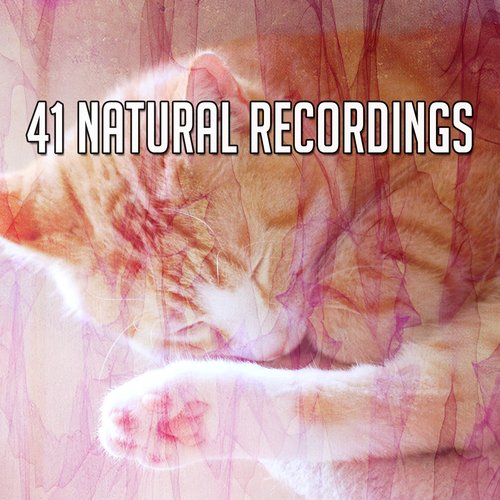 41 Natural Recordings