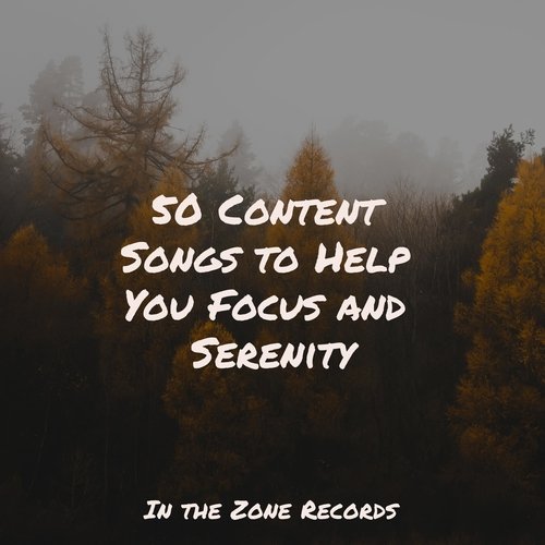 50 Content Songs to Help You Focus and Serenity_poster_image