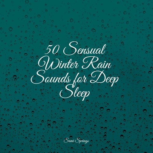 50 Sensual Winter Rain Sounds for Deep Sleep_poster_image