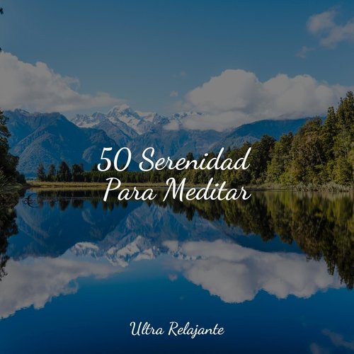 50 Serenidad Para Meditar