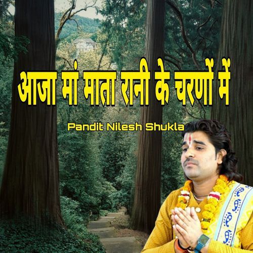 Aaja Ma Mata Rani Ke Charno M cover art