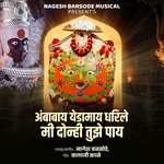 Ambabay Yedamay Dharile Mi Donhi Tujhe Pay