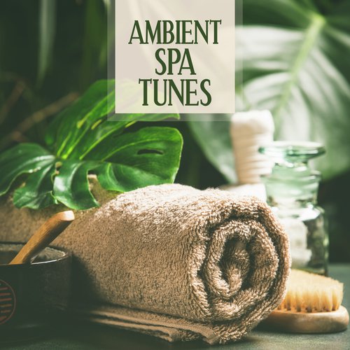 Spa Day cover art
