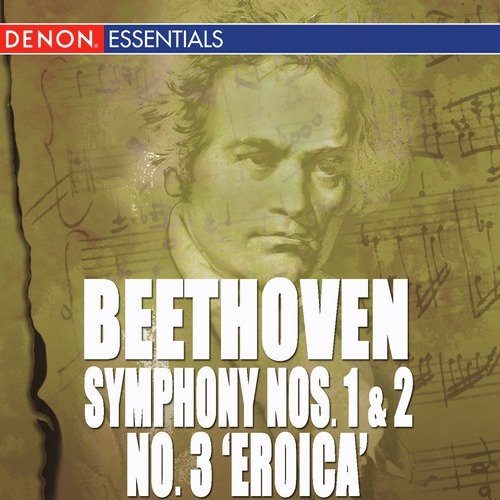 Symphony No. 1 in C Major, Op. 21: IV. Adagio