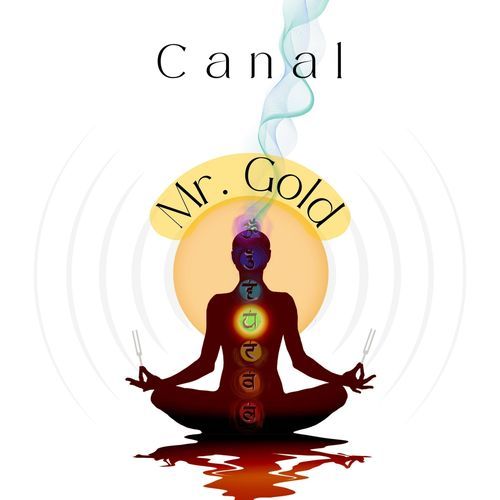 Canal cover art