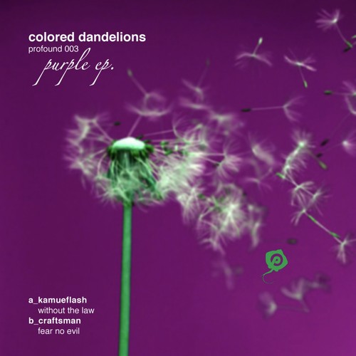 Colored Dandelions_Purple