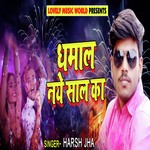 Dhamaal Naye Saal Ka